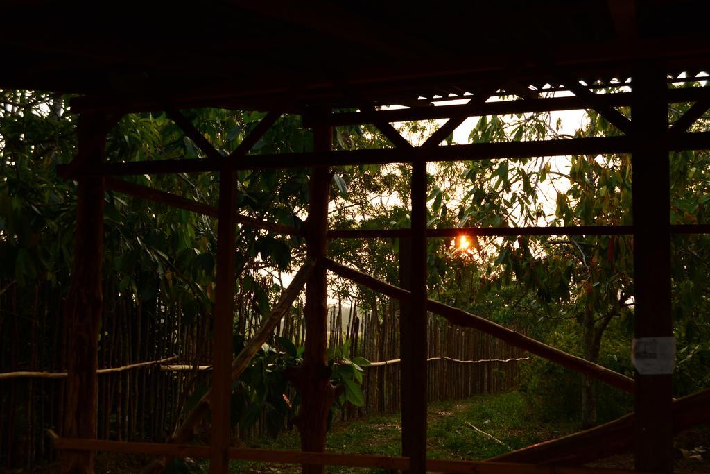Xingu Site Campsite